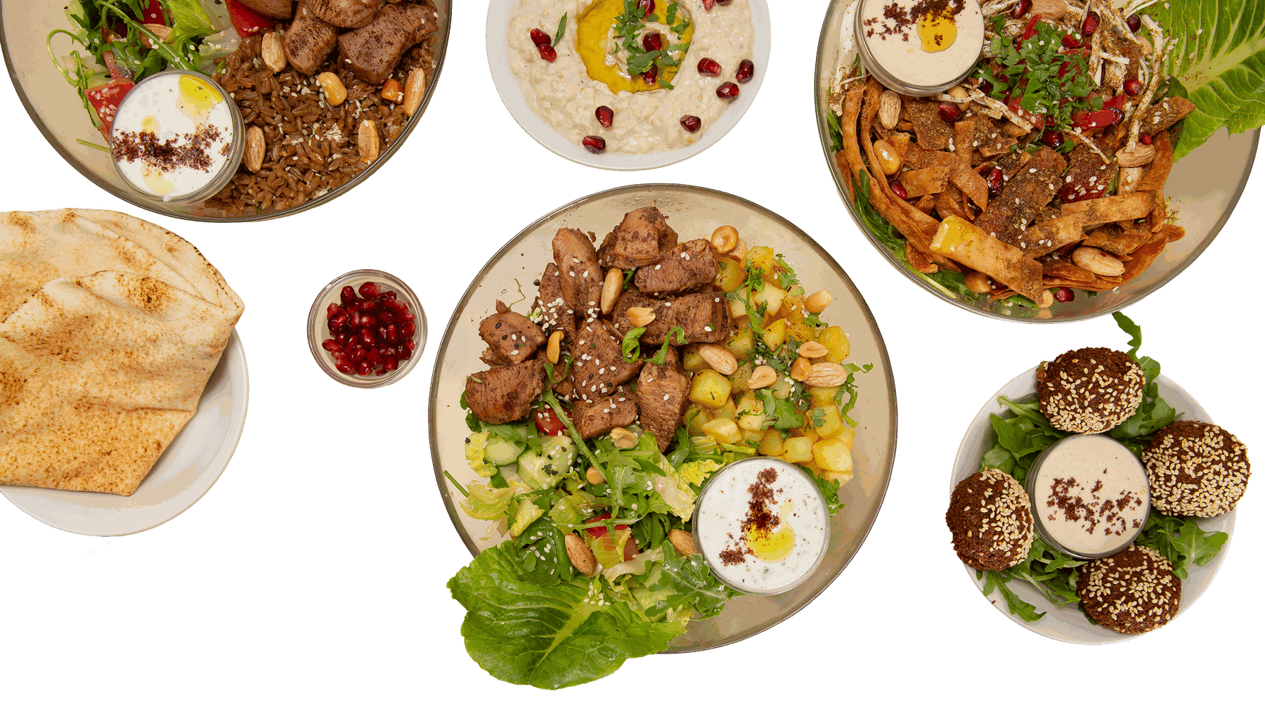 Habba²Habba Auswahlplatte: Wrap, Bowl mit Hähnchen, Falafel-Salat und Fatousch